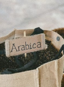 Arabica 250gr